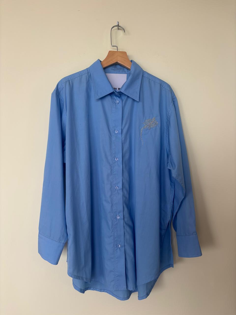 Flying Lizard Shirt Sky